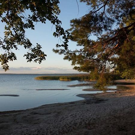 Fleesentraum Seeadler Grand Maisonette - Fuer Golfer Und Familien - Sauna Kamin Balkon Nintendo - Hunde Willkommen! Göhren-Lebbin Εξωτερικό φωτογραφία