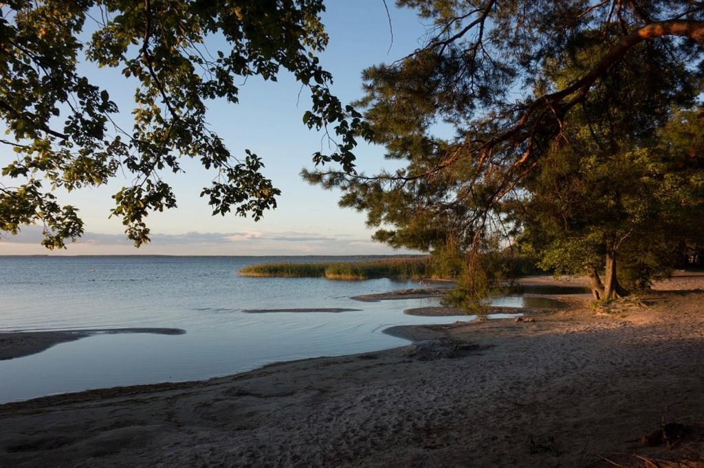 Fleesentraum Seeadler Grand Maisonette - Fuer Golfer Und Familien - Sauna Kamin Balkon Nintendo - Hunde Willkommen! Göhren-Lebbin Εξωτερικό φωτογραφία